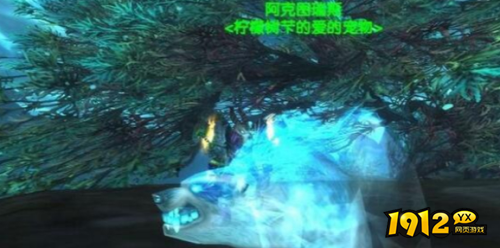 魔兽世界诺森德猎人稀有宠物有哪些 魔兽世界诺森德猎人稀有宠物一览