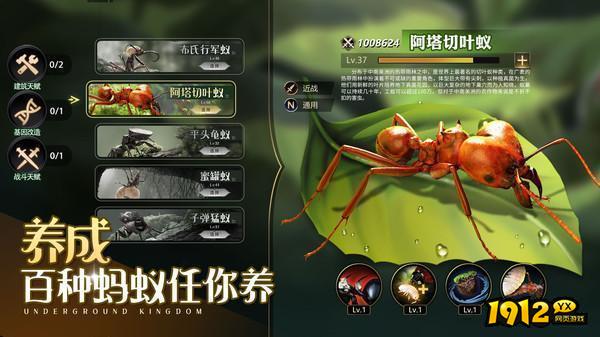 小小蚁国兑换码大全 2024全部礼包码合集 小小蚁国兑换码大全 2024全部礼包码合集