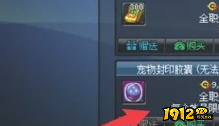 dnf手游宠物封印胶囊怎么使用 dnf手游宠物封印胶囊使用方法